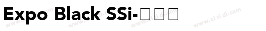 Expo Black SSi字体转换